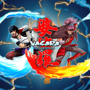 VASARA Collection