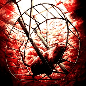 Injection 23 'No Name, No Number'