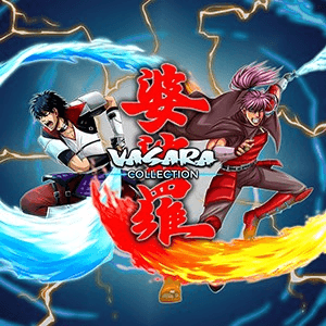 VASARA Collection (JP)