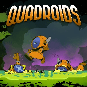 Quadroids