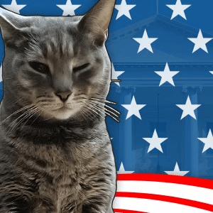 Cat President A More Purrfect Union