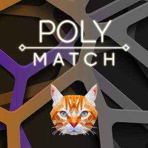 Poly Match